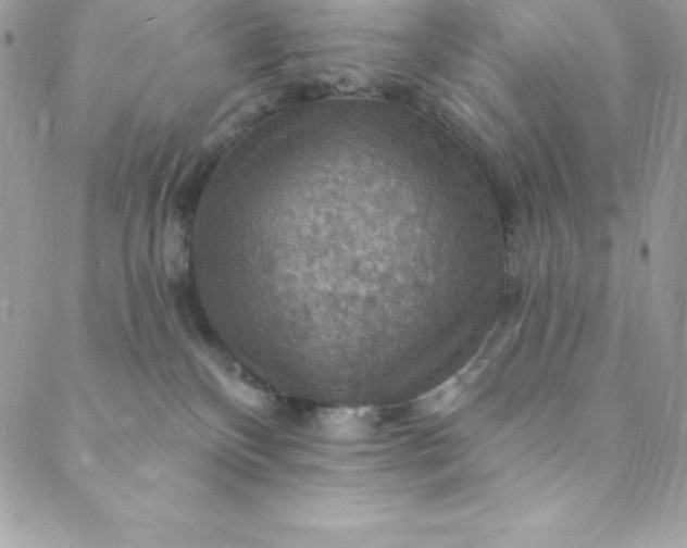 X0000088750136200706141737