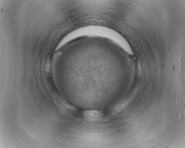 X0000088750137200706141737