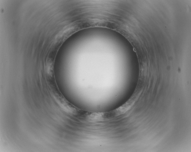 X0000088750138200706141737