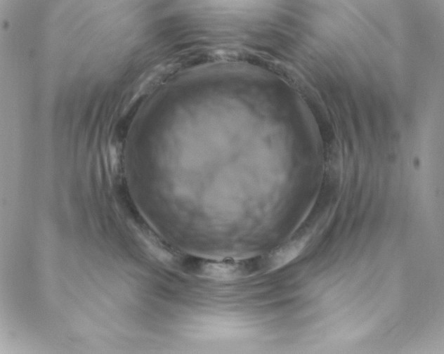 X0000088750139200706141737