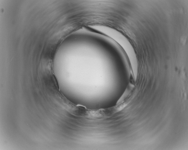 X0000088750141200706141737