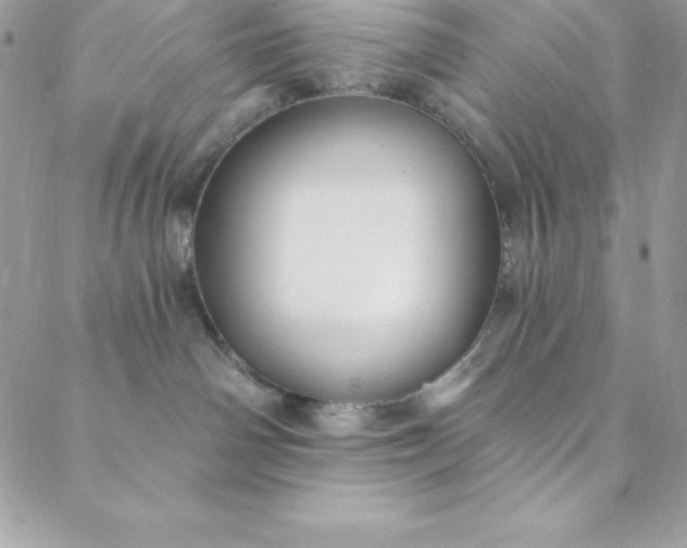 X0000088750142200706141737