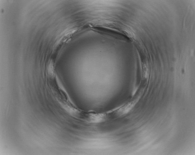 X0000088750143200706141737