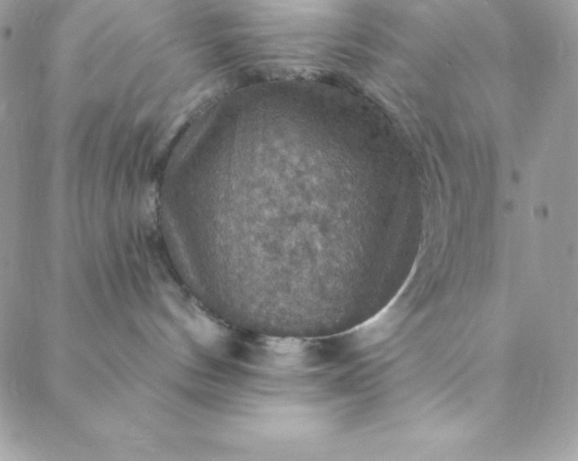 X0000088750144200706141737