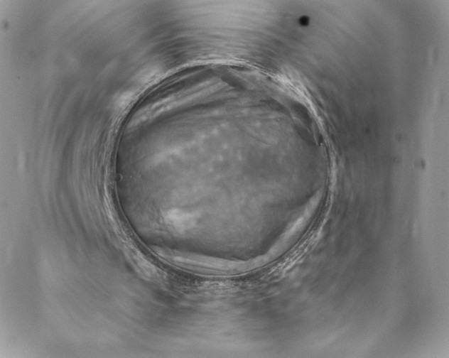 X0000088750145200706141737