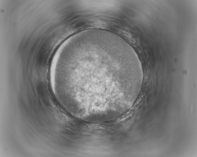 X0000088750146200706141737