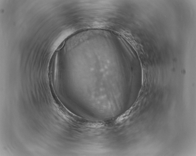 X0000088750147200706141737