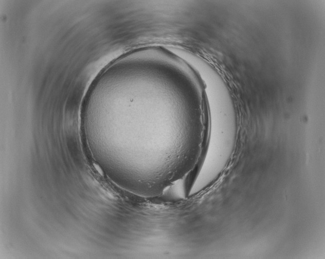 X0000088750148200706141737