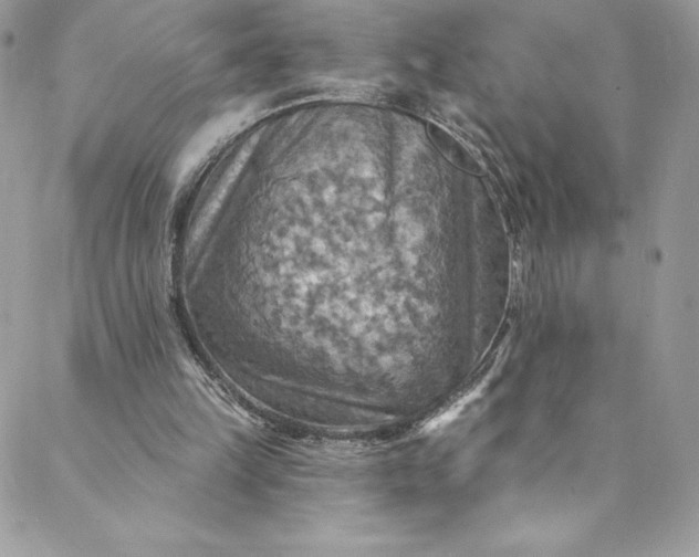 X0000088750149200706141737