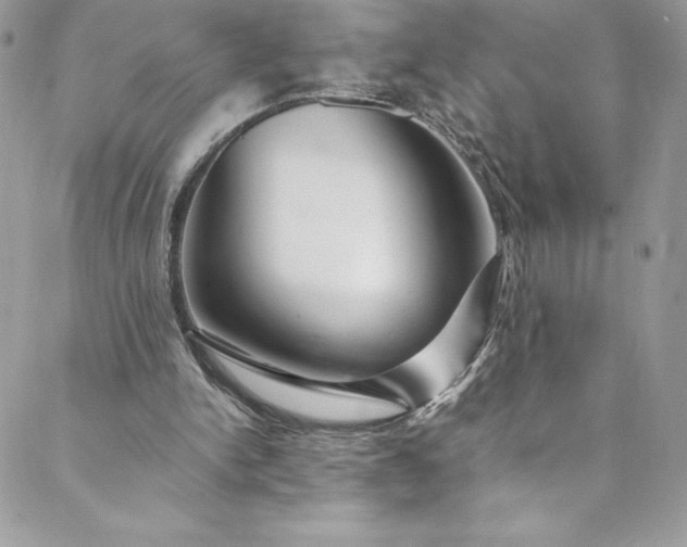 X0000088750150200706141737