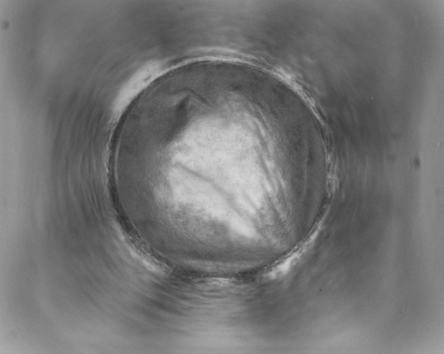 X0000088750151200706141737