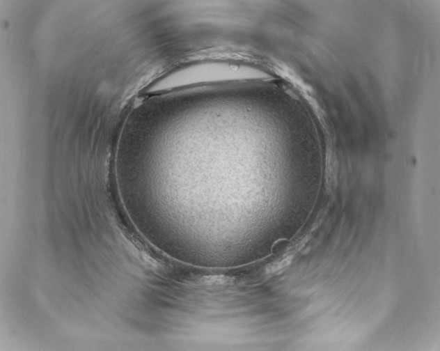 X0000088750153200706141737