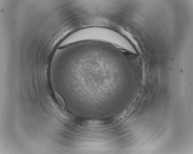 X0000088750154200706141737