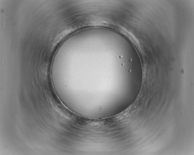 X0000088750155200706141737