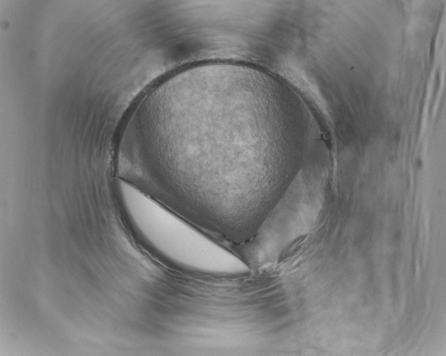 X0000088750156200706141737