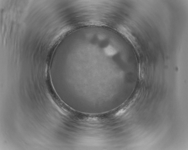 X0000088750157200706141737