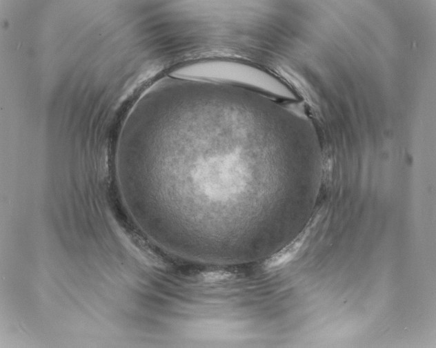 X0000088750158200706141737