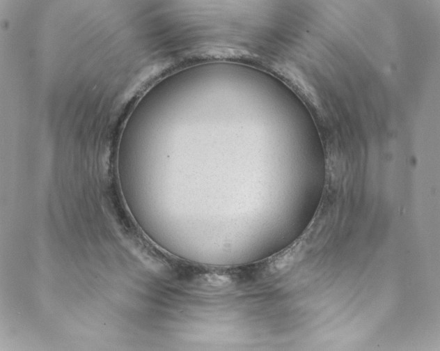 X0000088750159200706141737