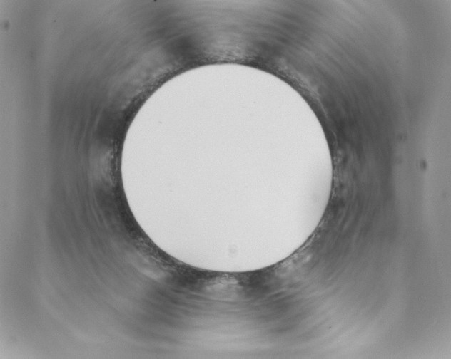 X0000088750162200706141737