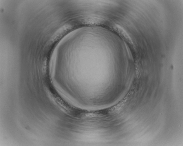 X0000088750163200706141737