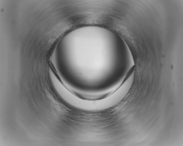 X0000088750164200706141737