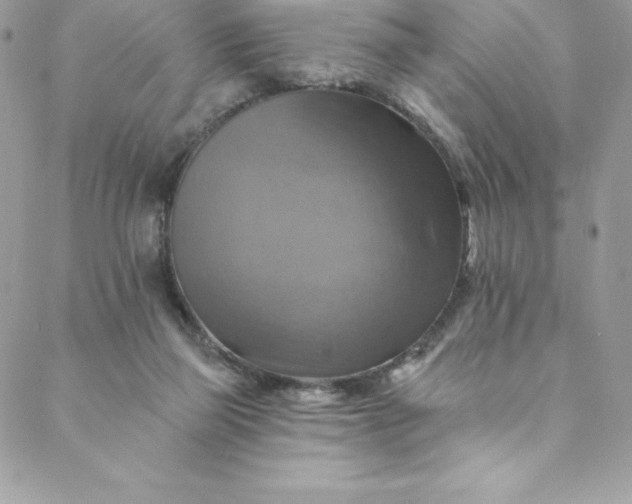 X0000088750165200706141737