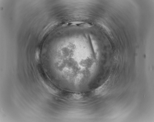 X0000088750166200706141737