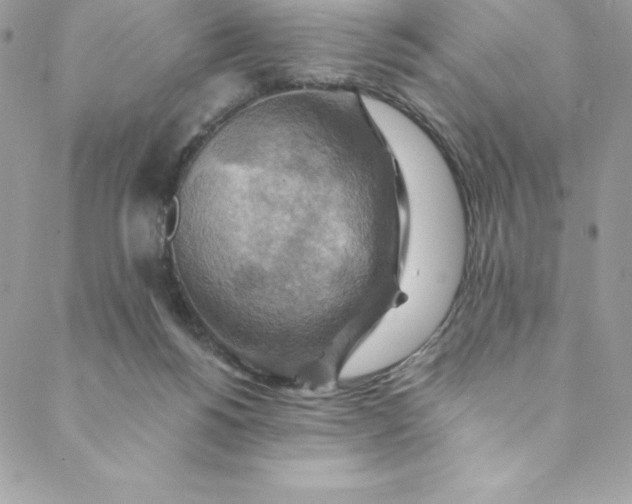 X0000088750168200706141737