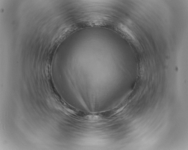 X0000088750169200706141737