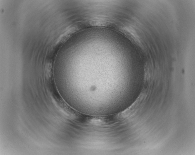 X0000088750171200706141737