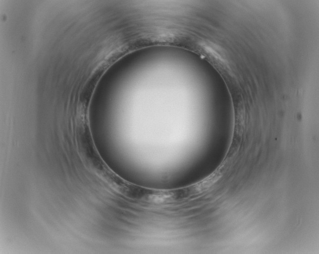 X0000088750172200706141737