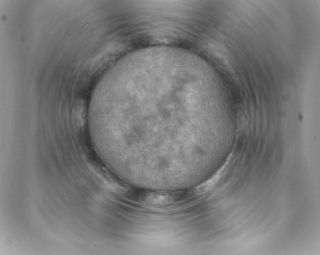 X0000088750174200706141737