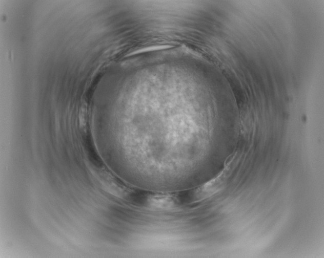 X0000088750175200706141737