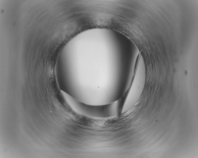 X0000088750176200706141737