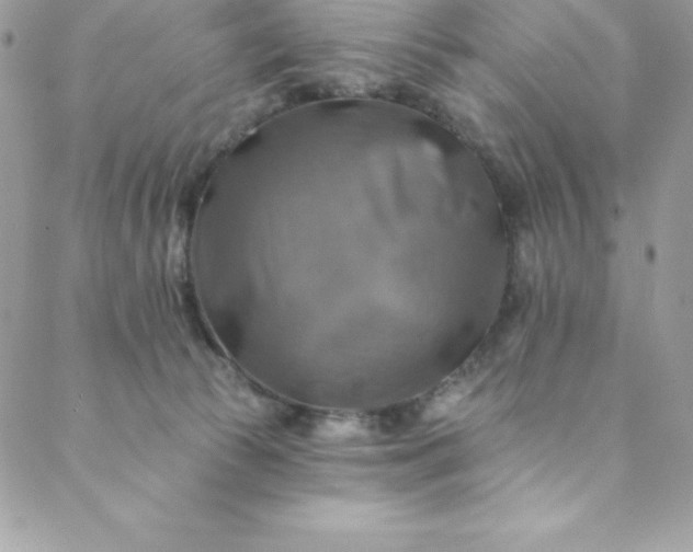 X0000088750177200706141737