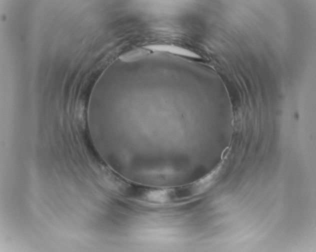 X0000088750178200706141737