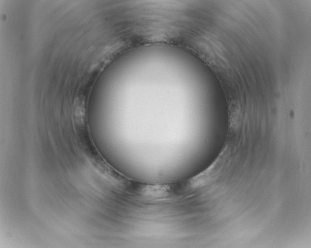 X0000088750179200706141737