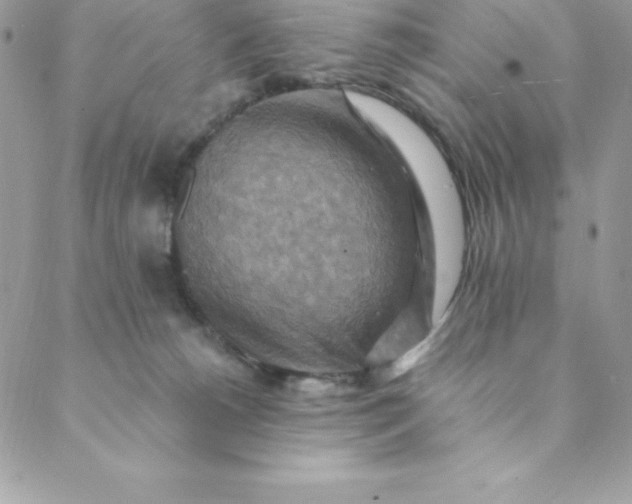 X0000088750180200706141737