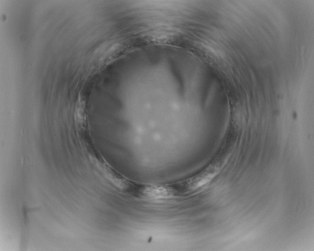 X0000088750181200706141737