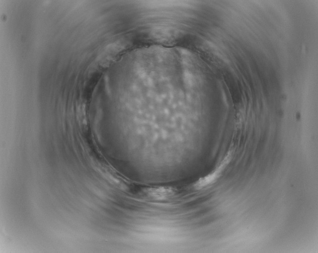 X0000088750182200706141737