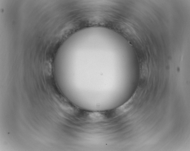 X0000088750183200706141737