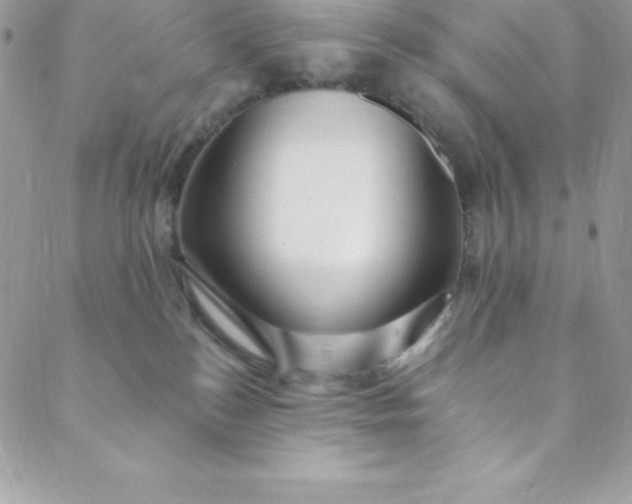 X0000088750184200706141737