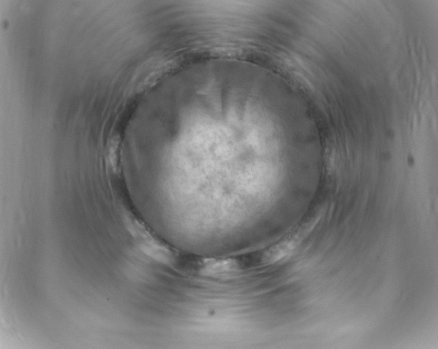 X0000088750185200706141737