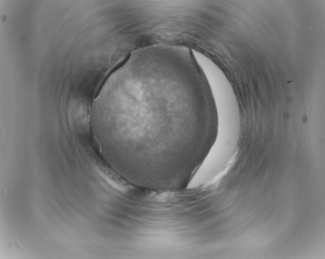 X0000088750186200706141737