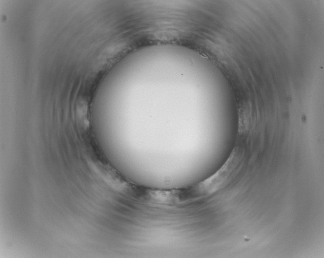 X0000088750187200706141737