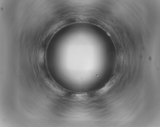 X0000088750188200706141737