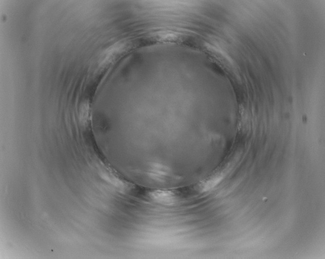 X0000088750189200706141737