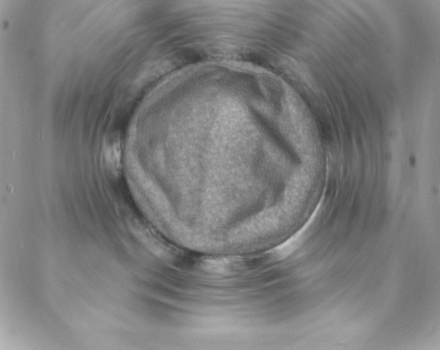 X0000088750190200706141737