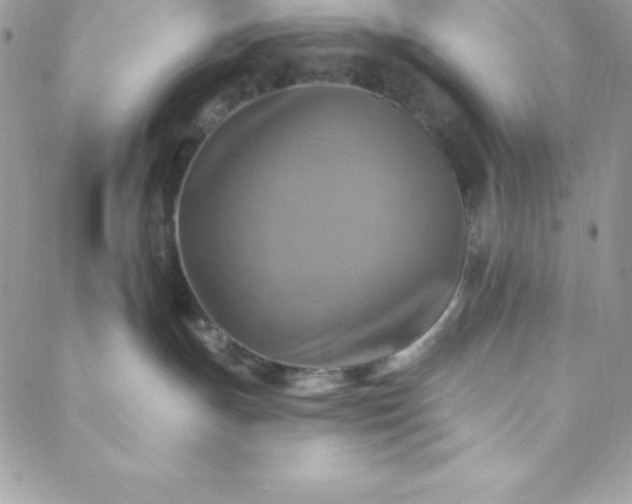 X0000088750191200706141737