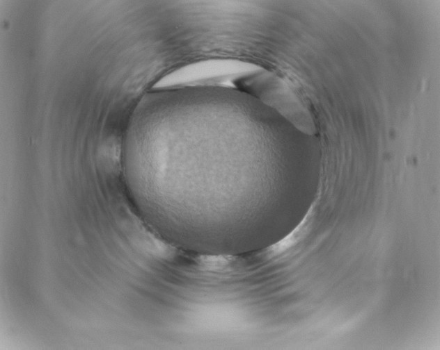 X0000088750192200706141737